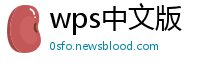 wps中文版